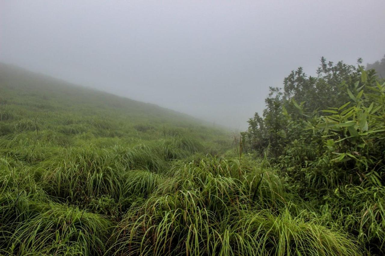 7Th Heaven Kannur Chakkarakkal 外观 照片